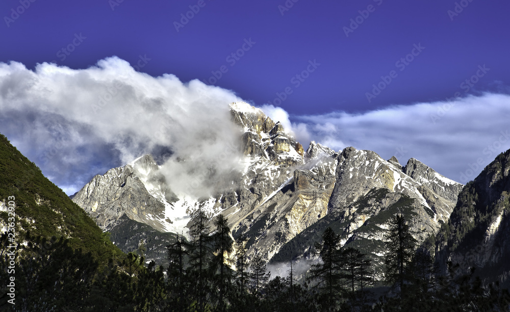 Birkenkofel