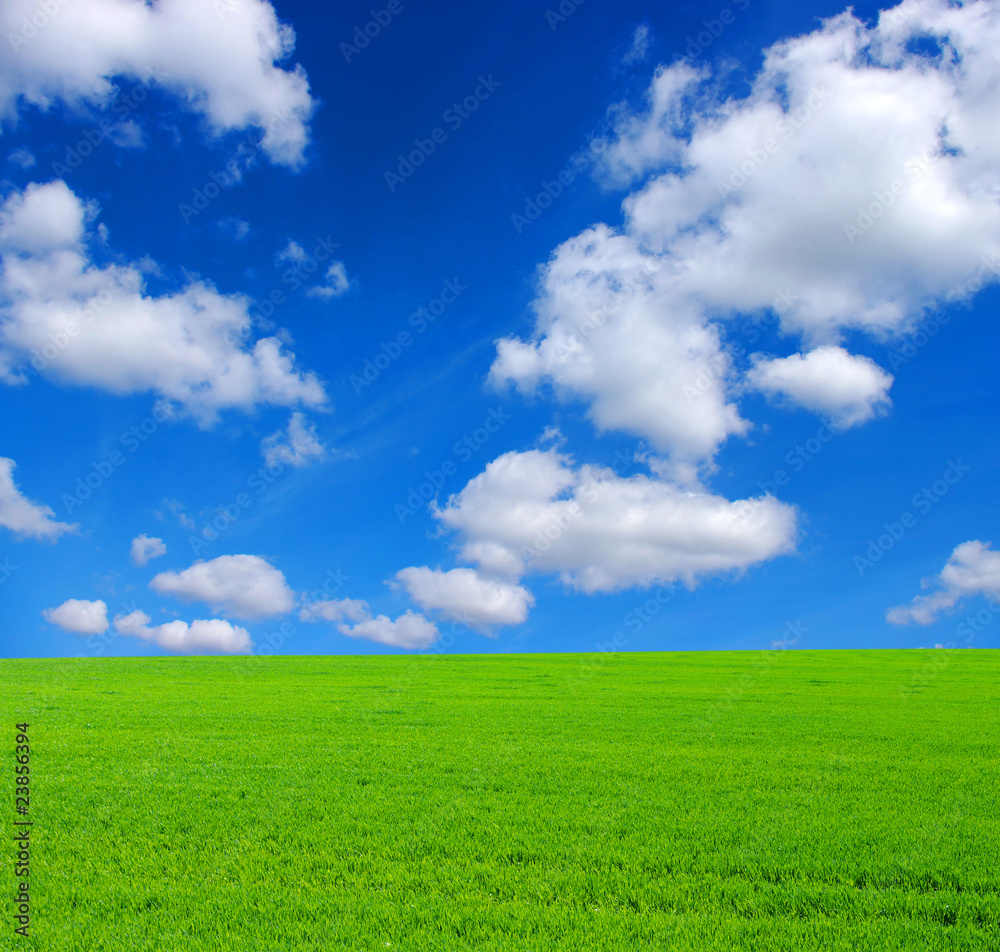 field and clouds