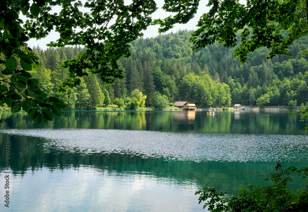 Türkisfarbener See von Wald umgeben