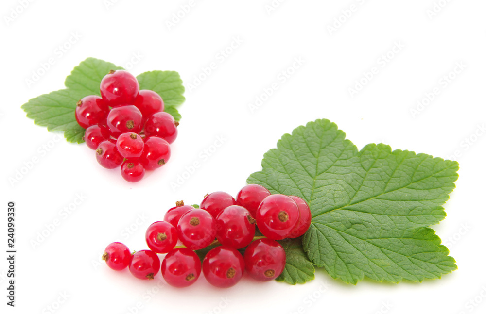 red currants