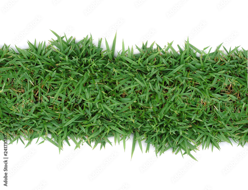 grass frame