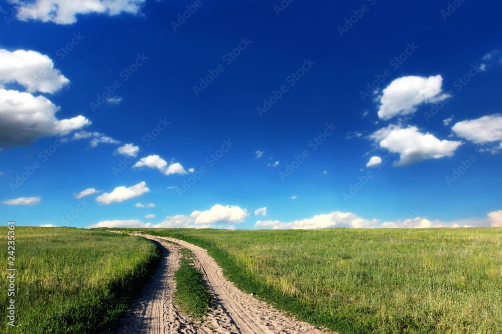 Road in fields