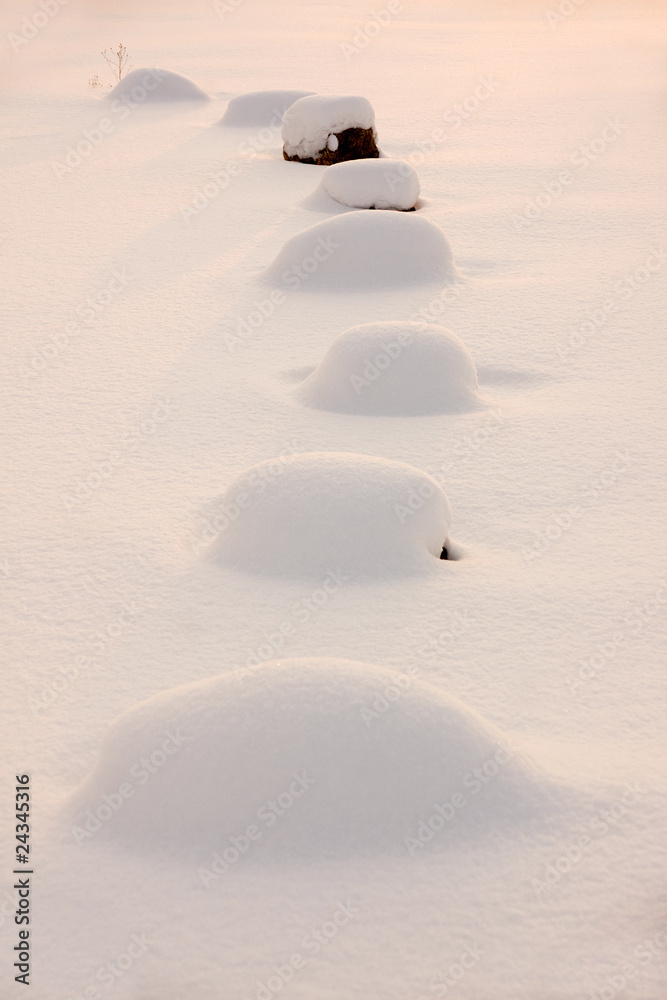 白雪覆盖的岩石