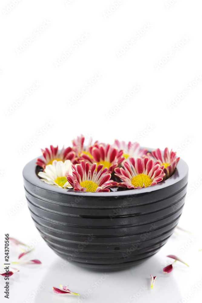 bowl of water and flowers-SPA concept