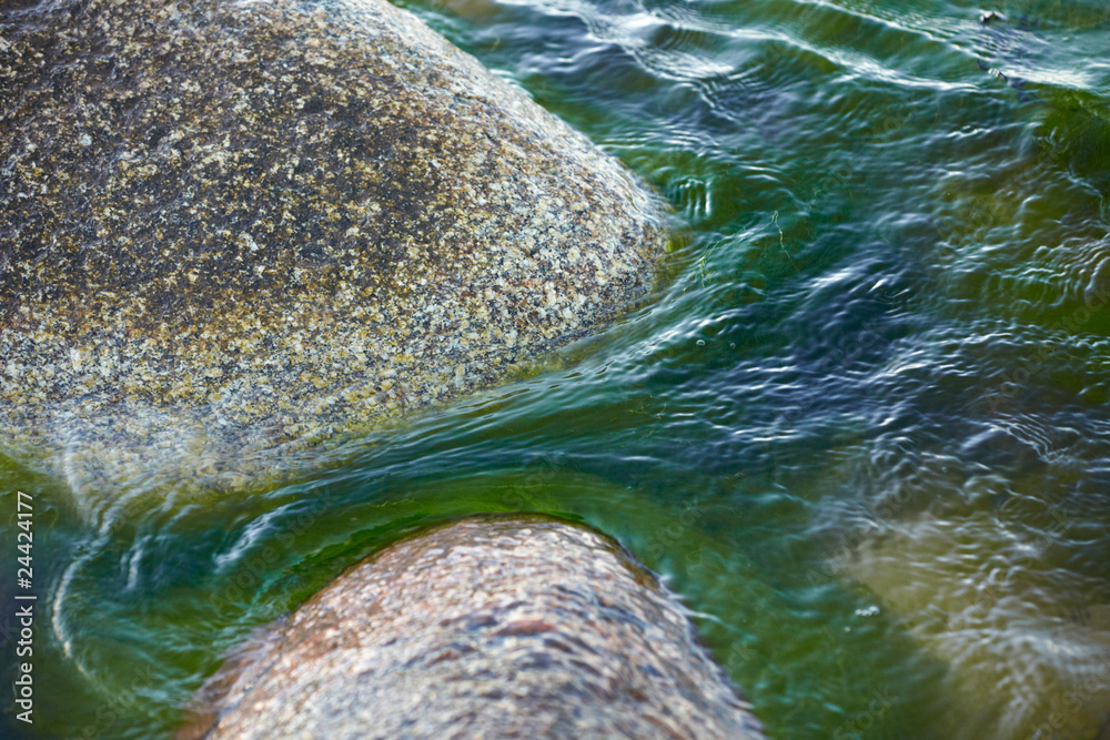 sea stones