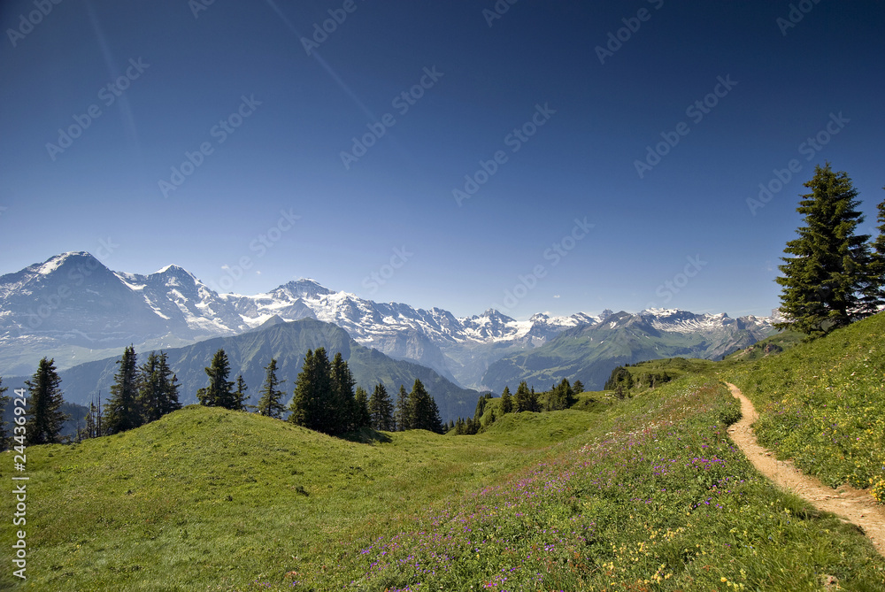 Eiger, Mönch & Jungfrau von der Schynige Platte