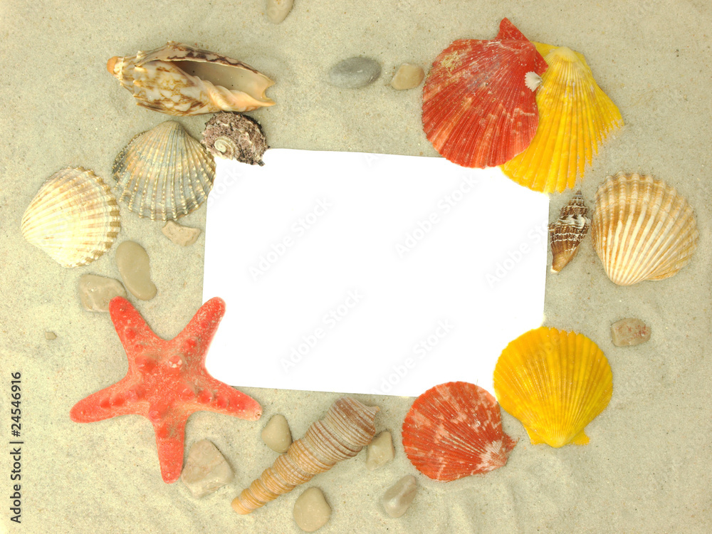 Beach concept with blank photo ond shells