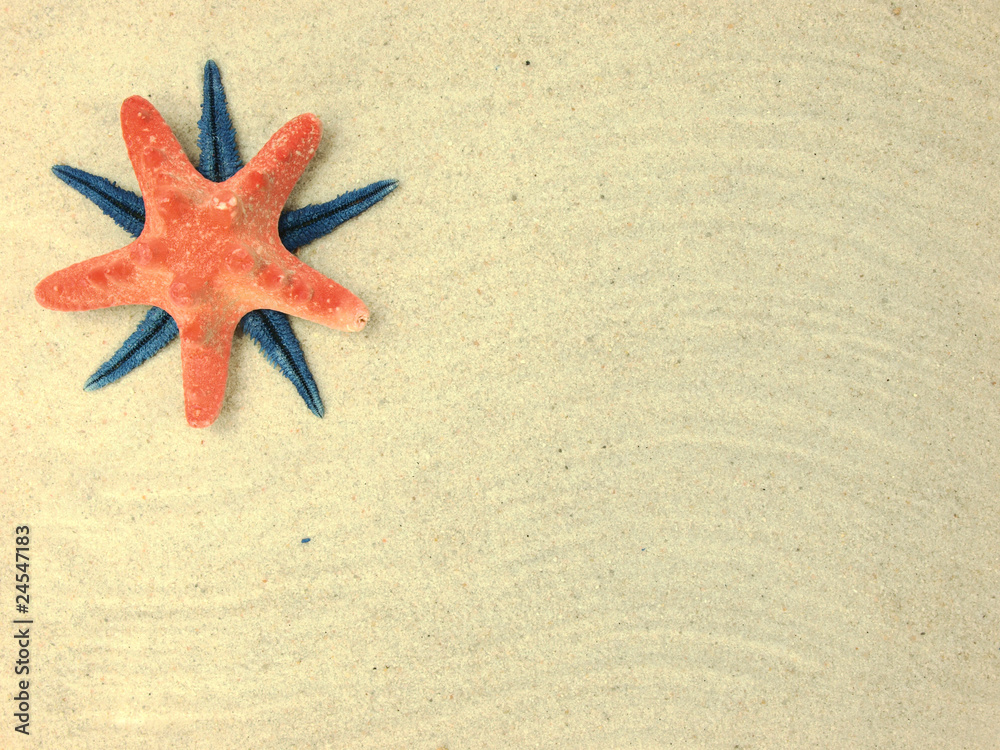 Starfish on beach