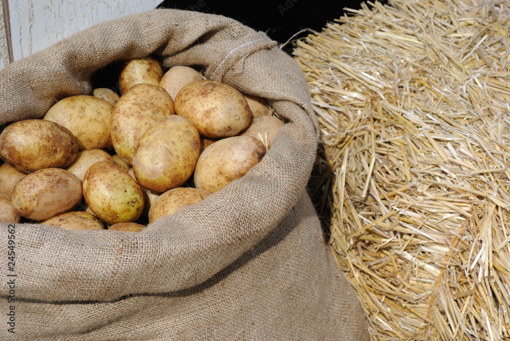 Potatoes in a Sack