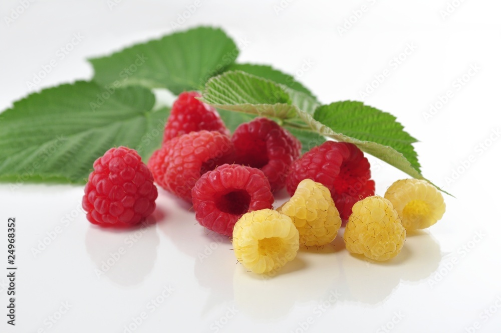 red and yellow raspberries