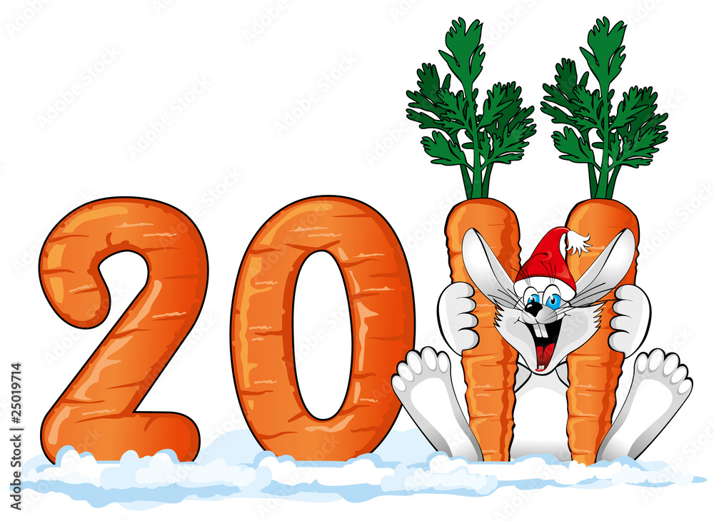 new year 2011 : Happy Rabbit with a large carrot