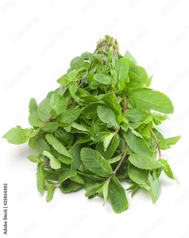 Spearmint herb