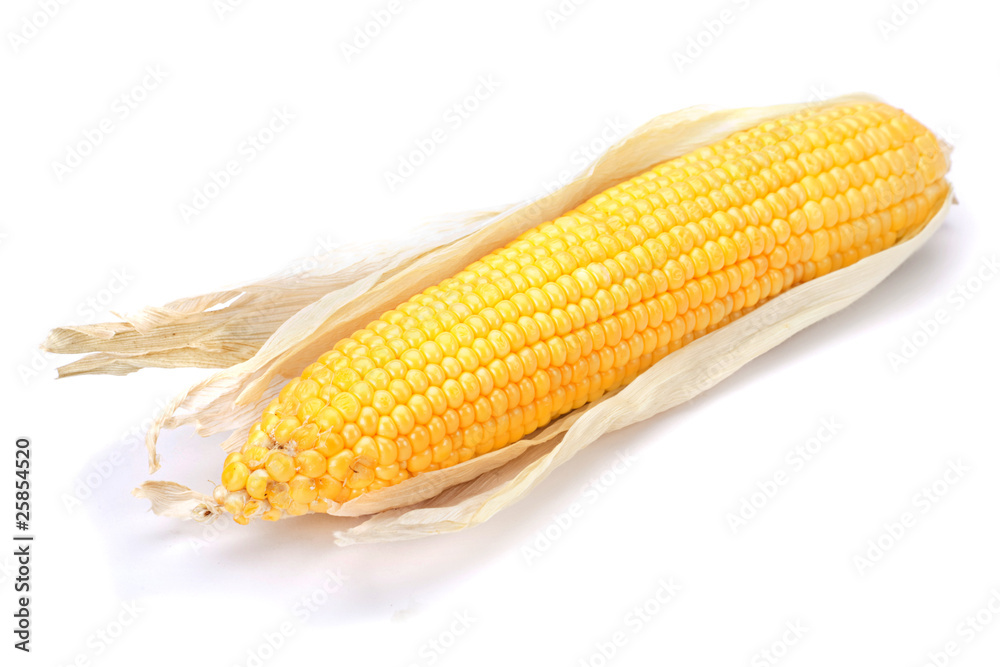 Sweet corn