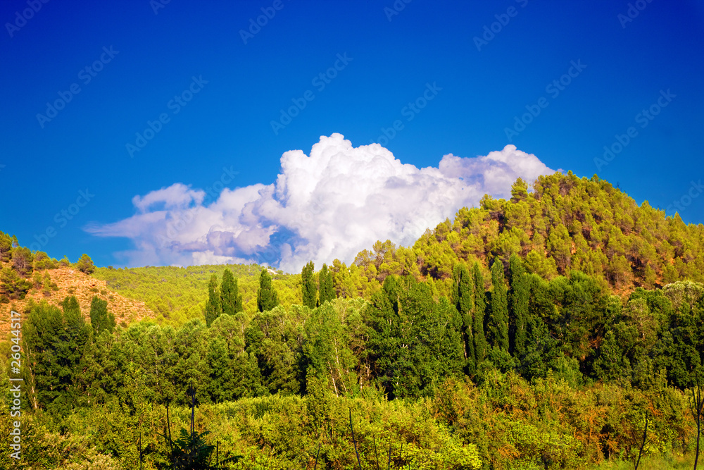 detalle de montaña con arboles verdes