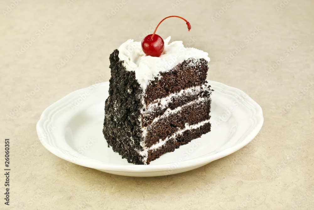 Chocolate Layer Cake