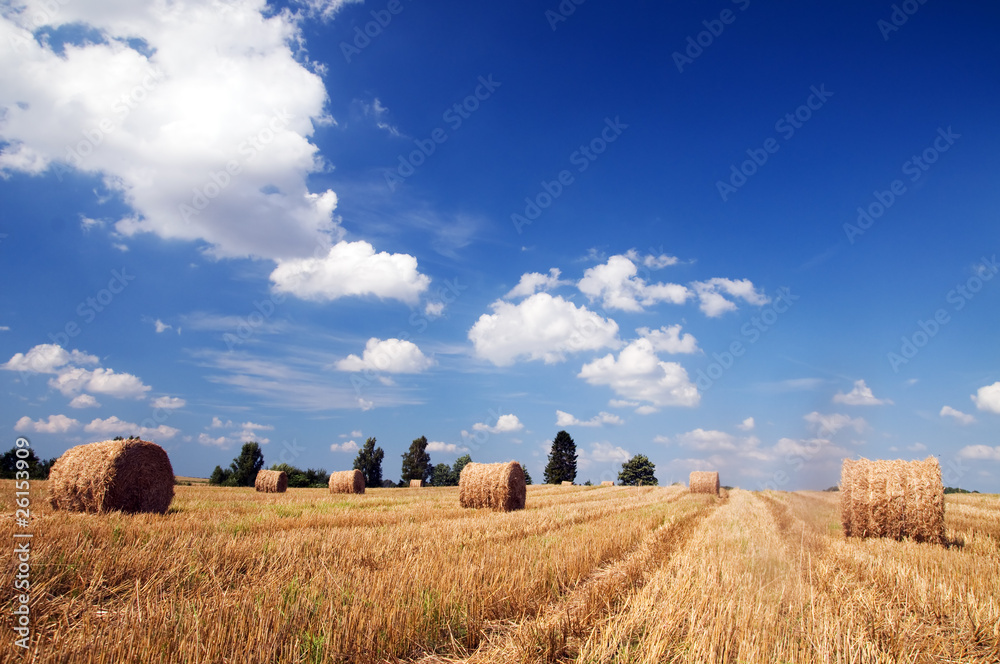 Haystacks in the field