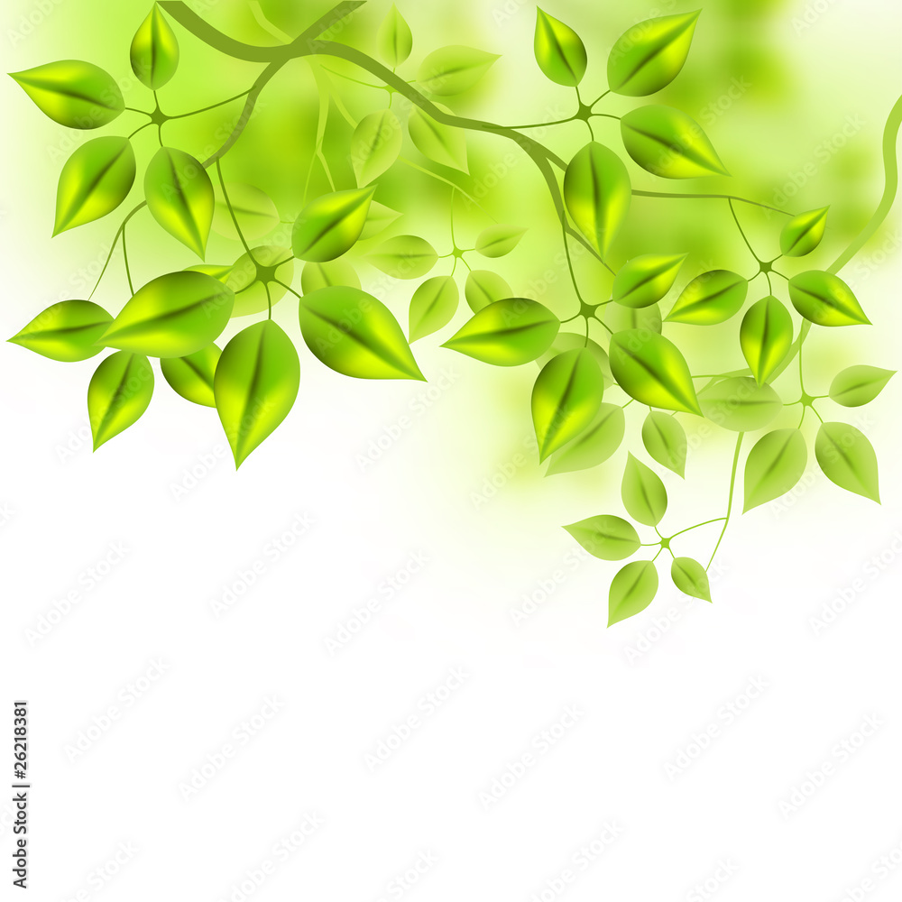 Fresh Vector Leaves