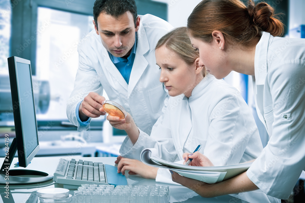 group of students working at the laboratory