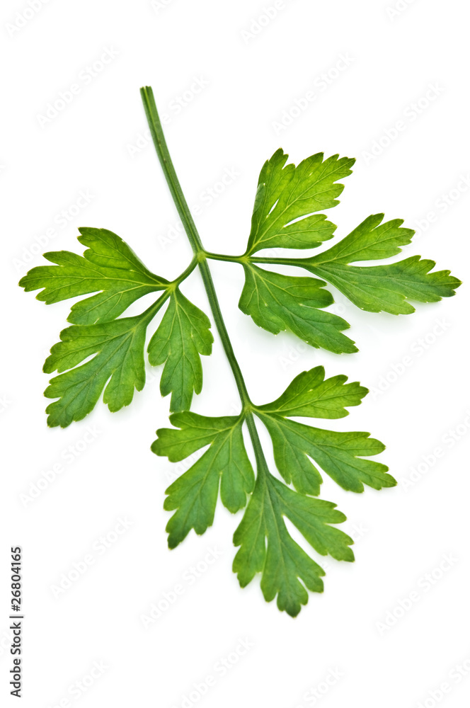 parsley