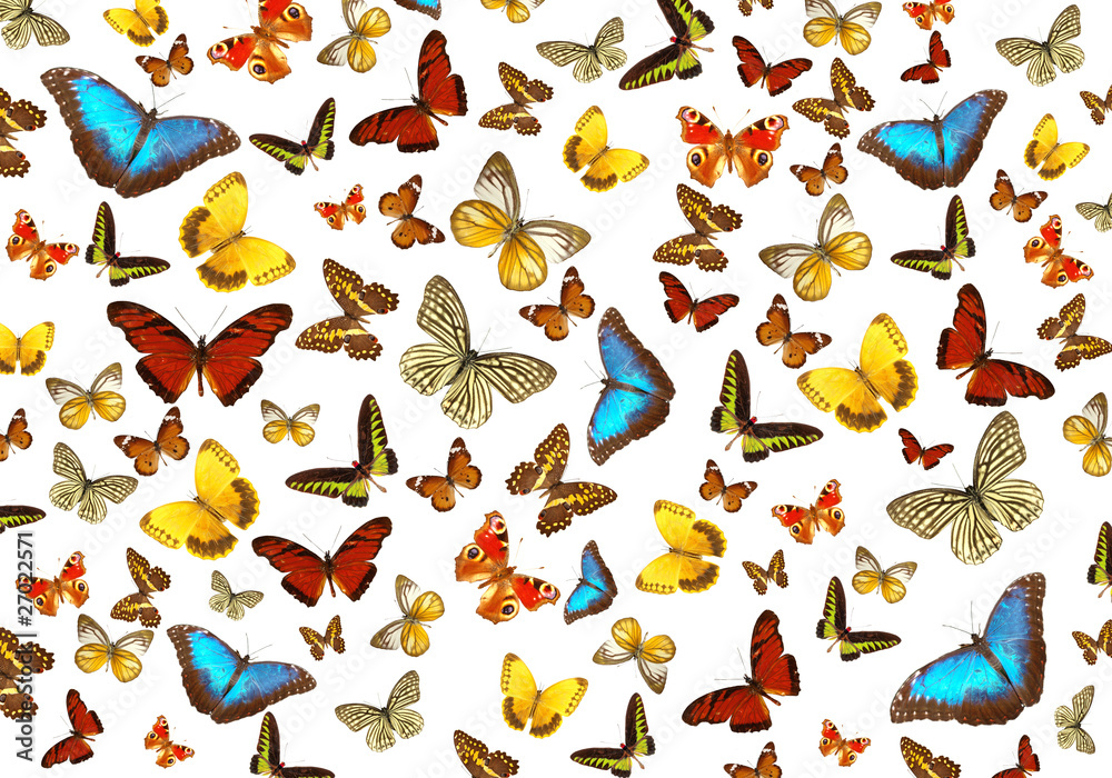 BUtterflies background