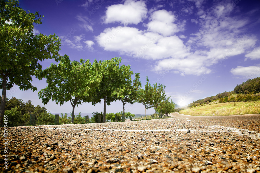 paisaje con carretera y arboles