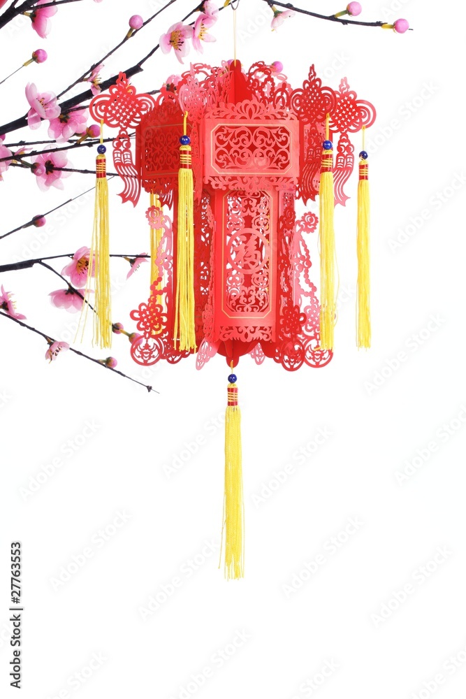 Chinse New Year Decoration