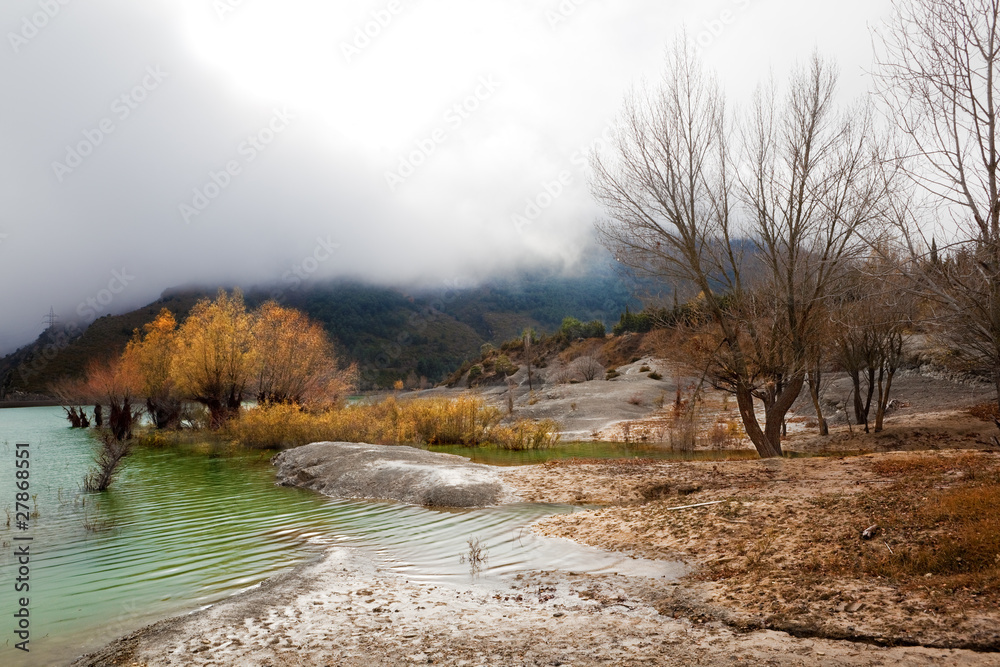 paisaje de otoño con pantano y arboles