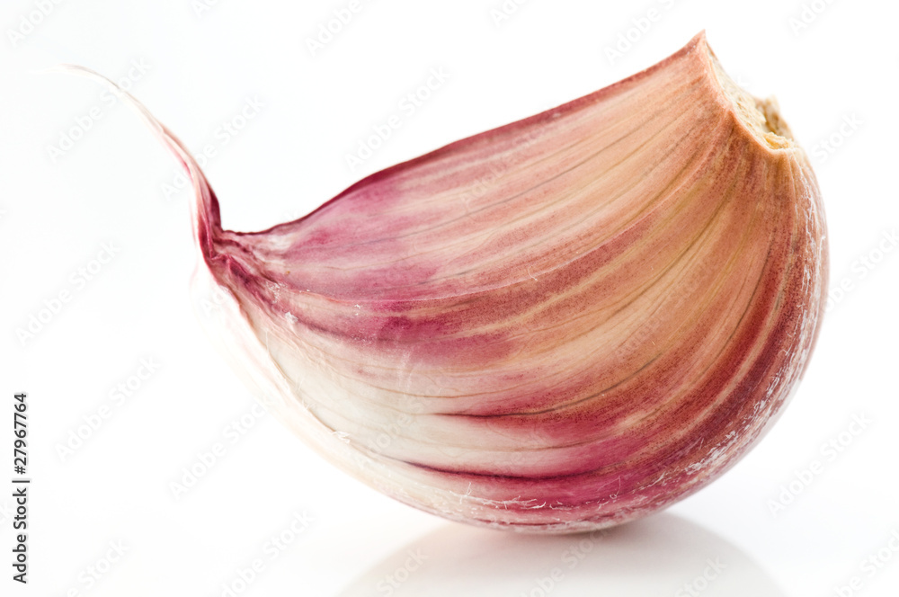 Garlic on a white background