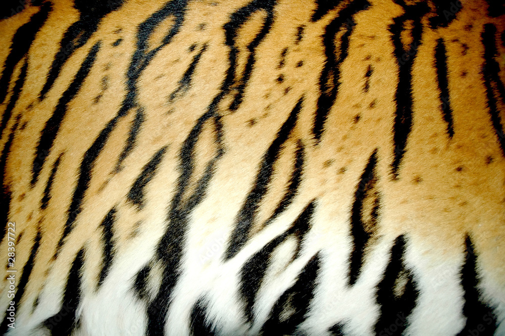 real tiger skin