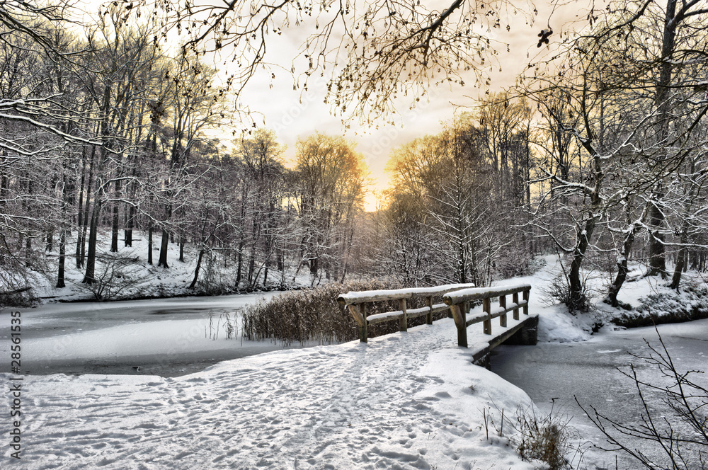 Winter landscape with a wooden bridge