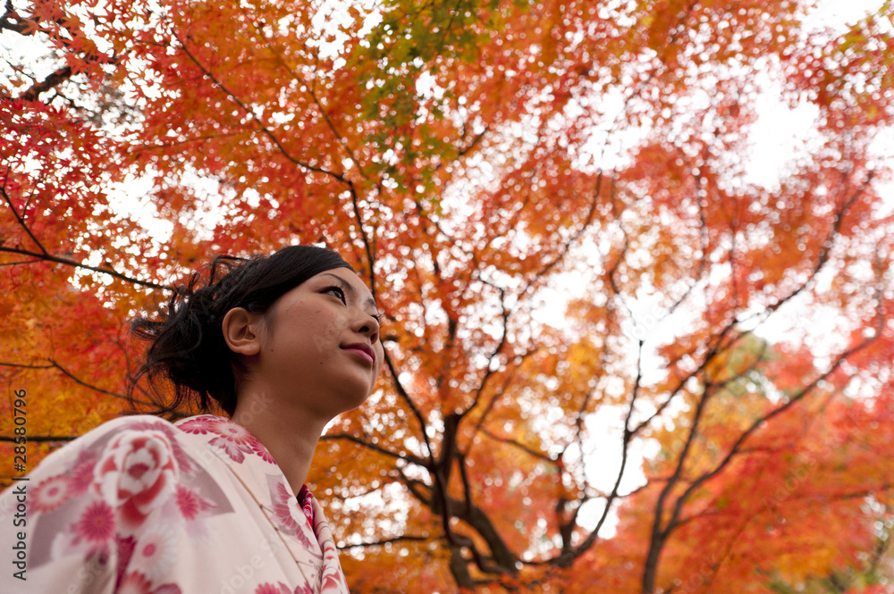 beautiful japanese woman wearing kimono