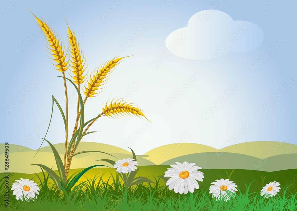 ears of wheat with lanscape and flowers