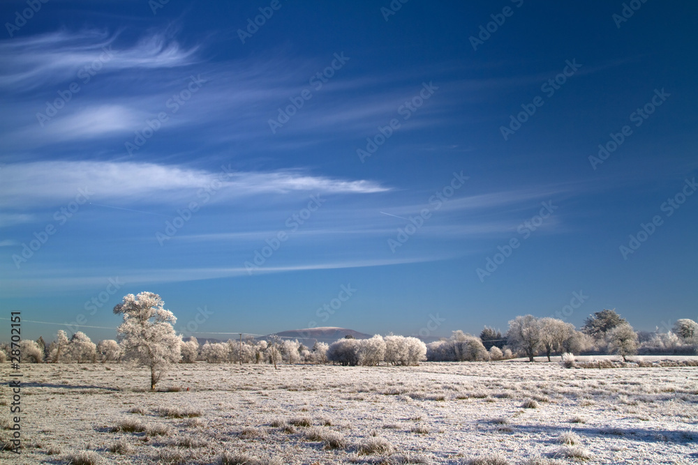 Under the blue sky