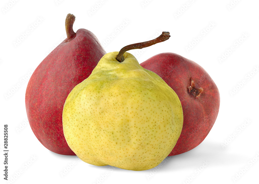 Isolated pears. Red and yellow pear fruits isolated on white background