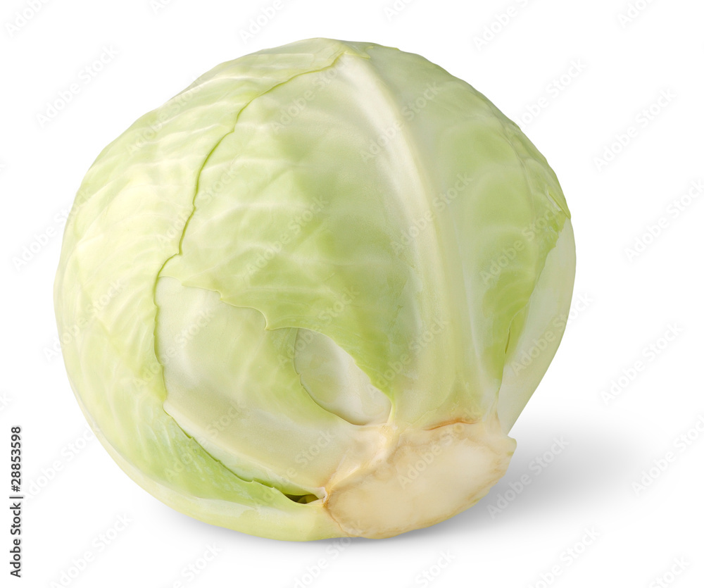 Isolated cabbage. Head of fresh white cabbage isolated on white background