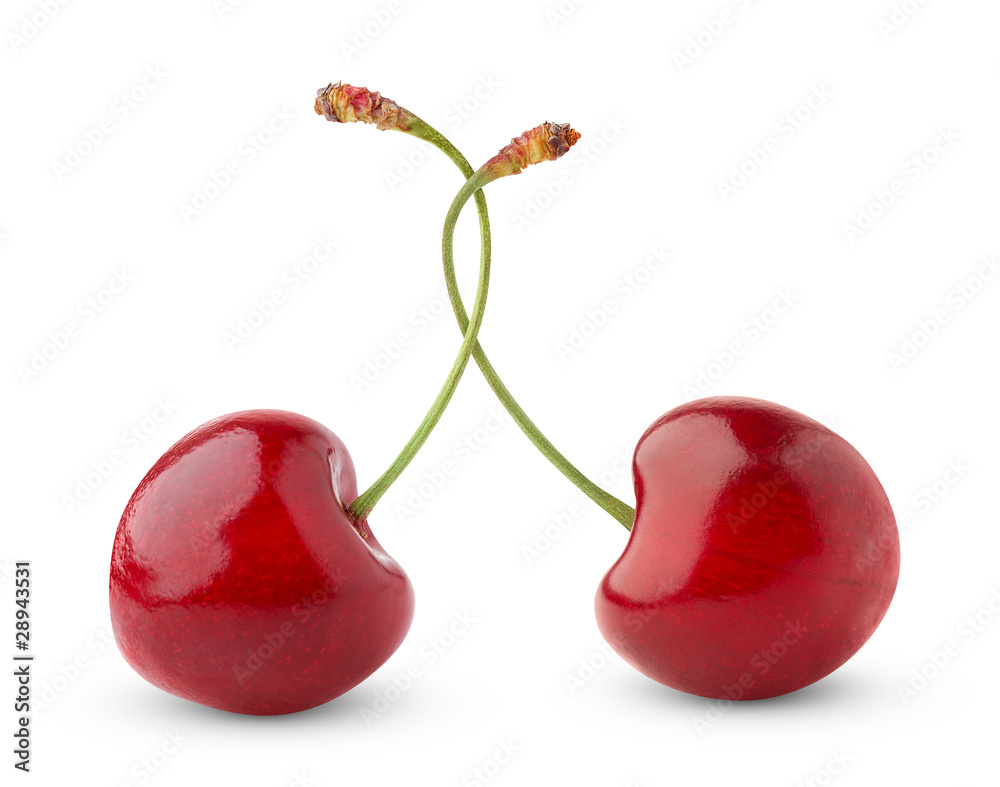 Isolated cherries. Two sweet cherries isolated on white background