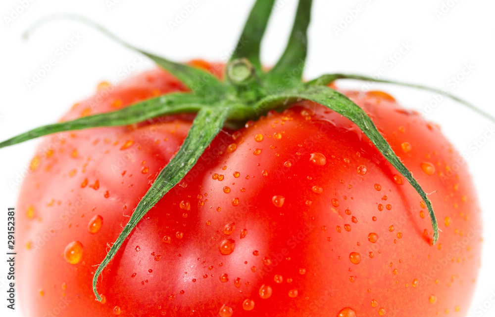 Fresh juicy tomato isolated on white