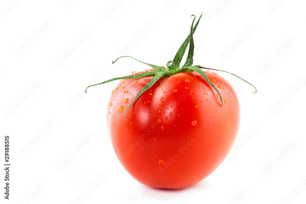 Red juicy tomatoes isolated on white