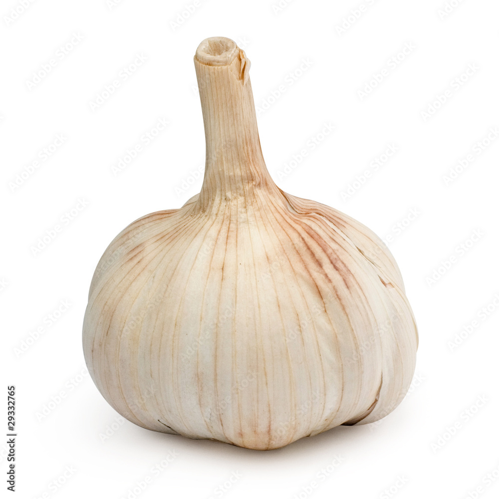 Garlic isolated on white background + Clipping Path