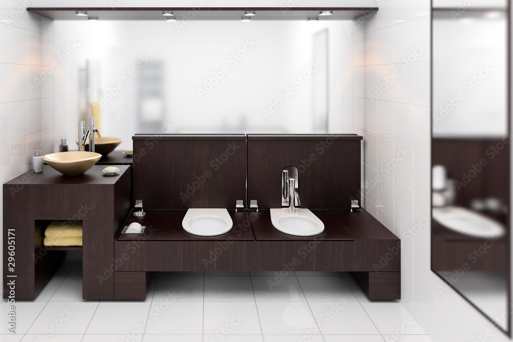 Modern Toilette Design