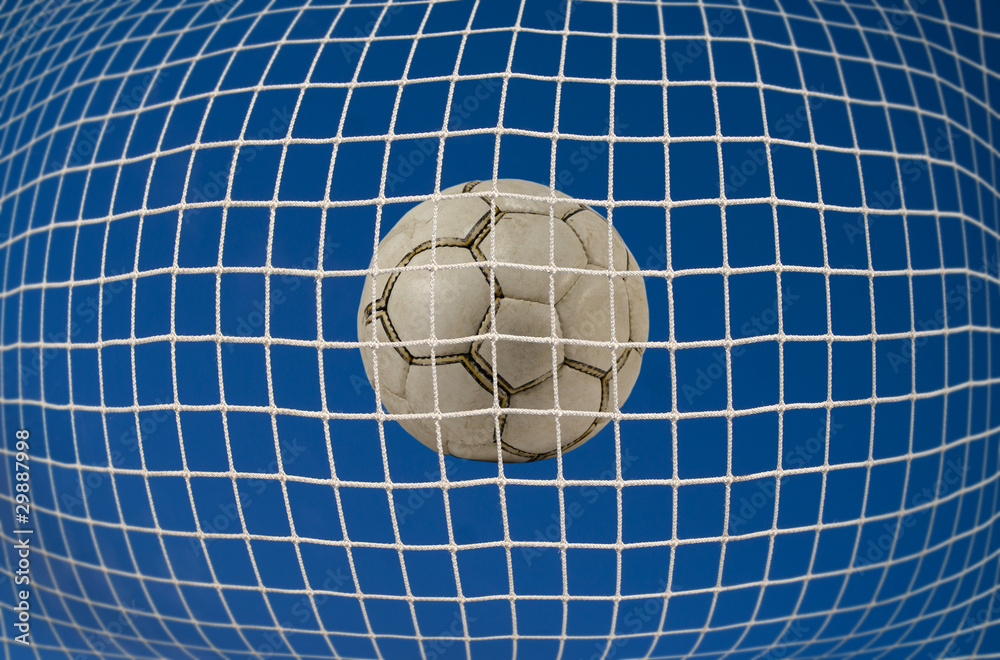 Soccer net with ball