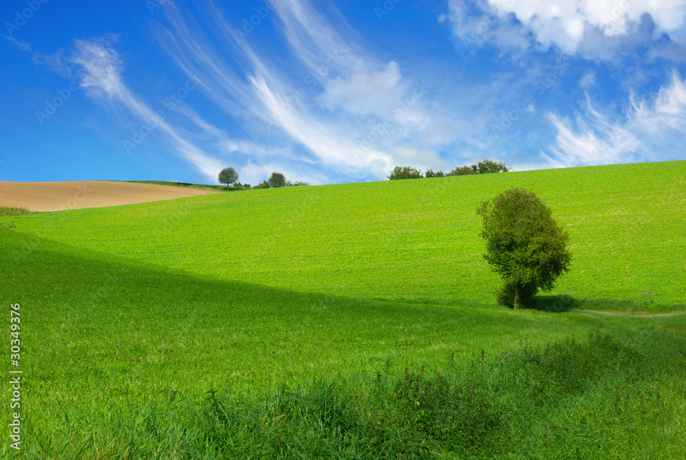 Weite hügelige Landschaft