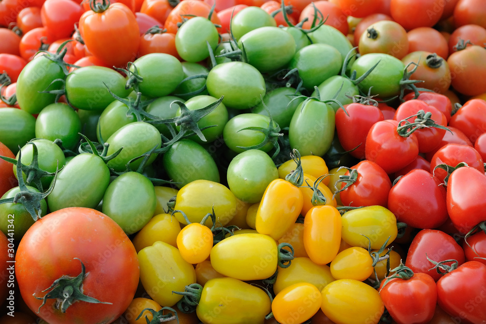 Colorful assorted tomatoes