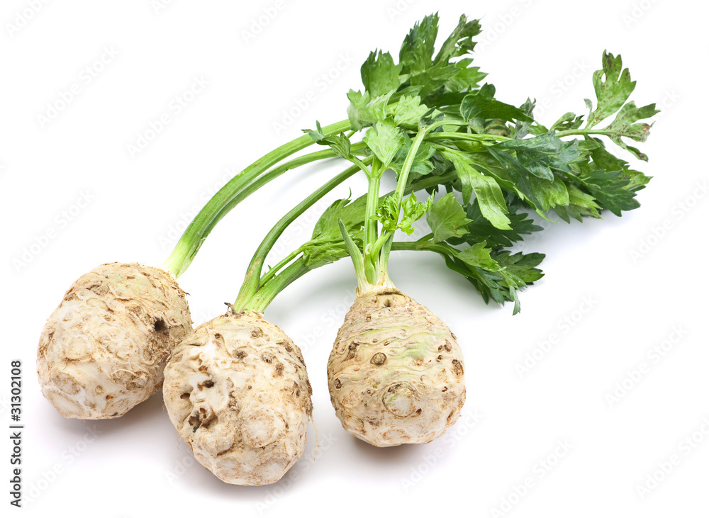 Fresh celery with root