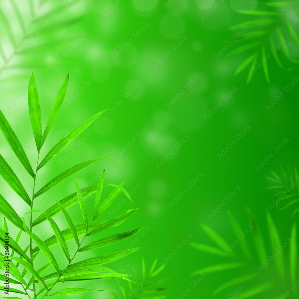 Fresh green floral background with transparent leaves