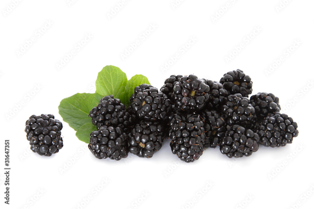 Brombeeren