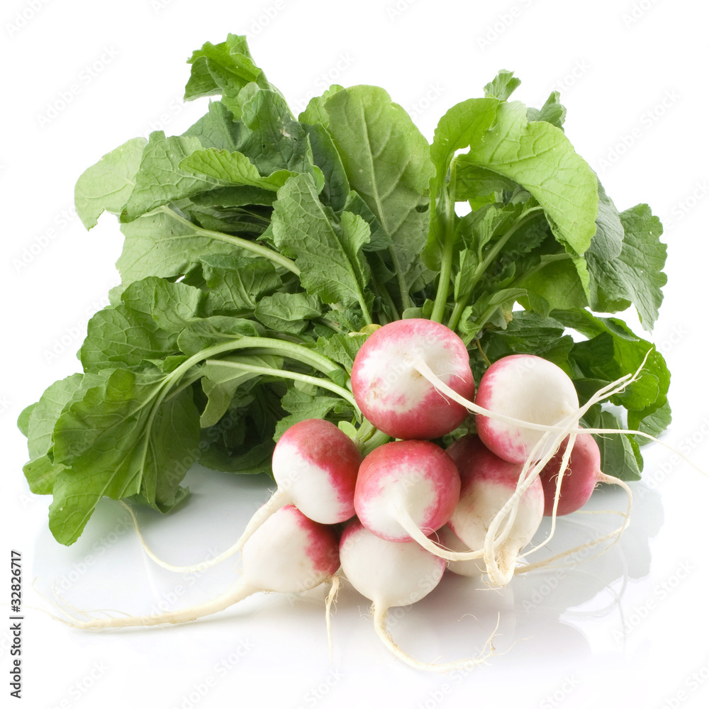 Fresh radishes isolated on white background