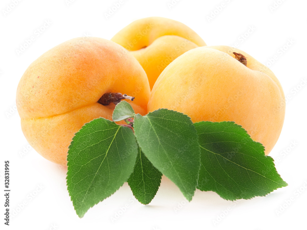 Apricot fruits with leaves isolated on white background