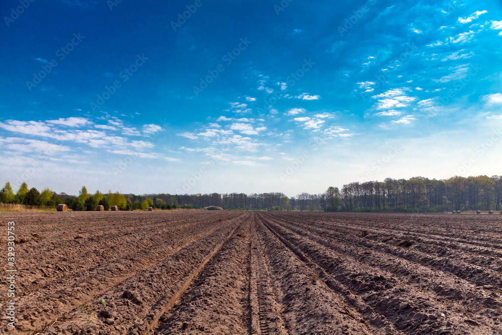 Bestelltes Feld