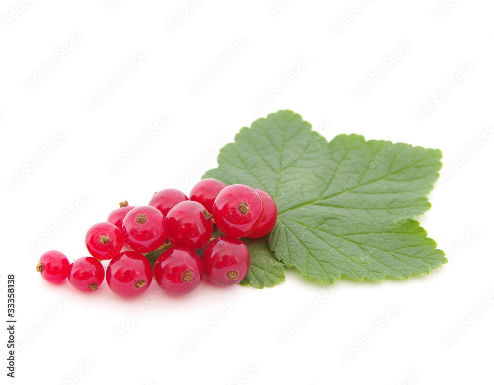 red currants